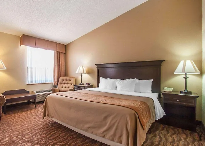 Comfort Inn At Thousand Hills